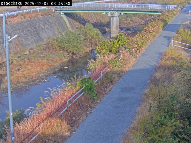 最新監視カメラ画像