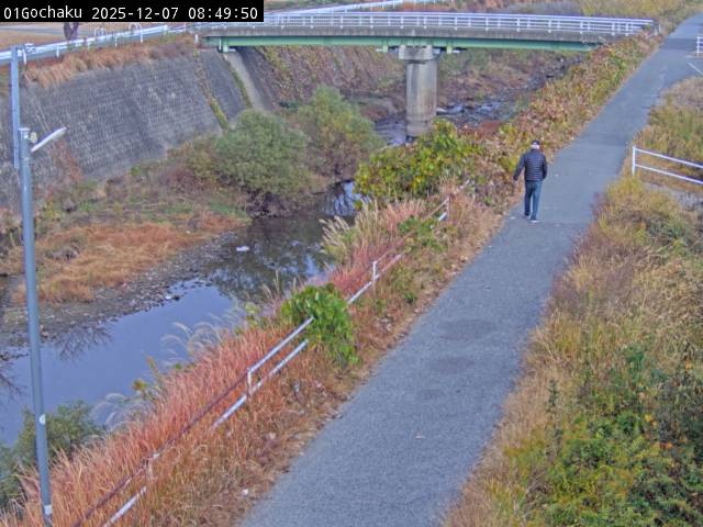 最新監視カメラ画像