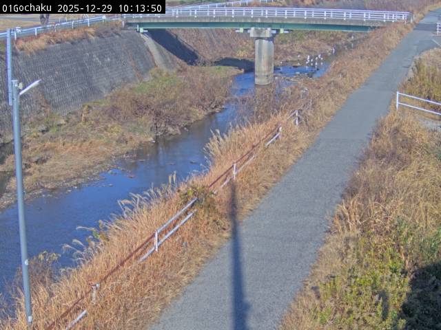 最新監視カメラ画像