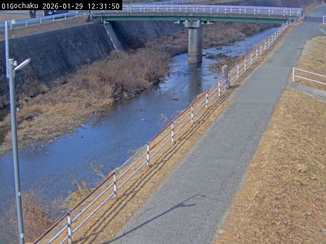 最新監視カメラ画像