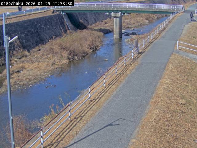 最新監視カメラ画像