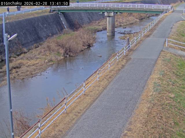 最新監視カメラ画像