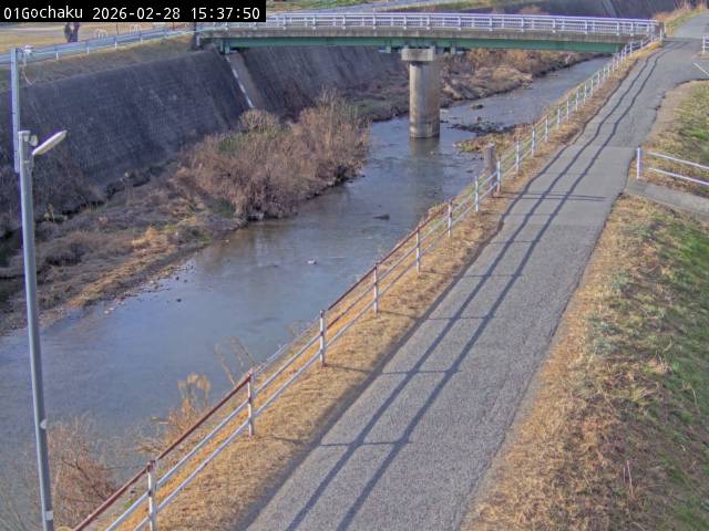 最新監視カメラ画像