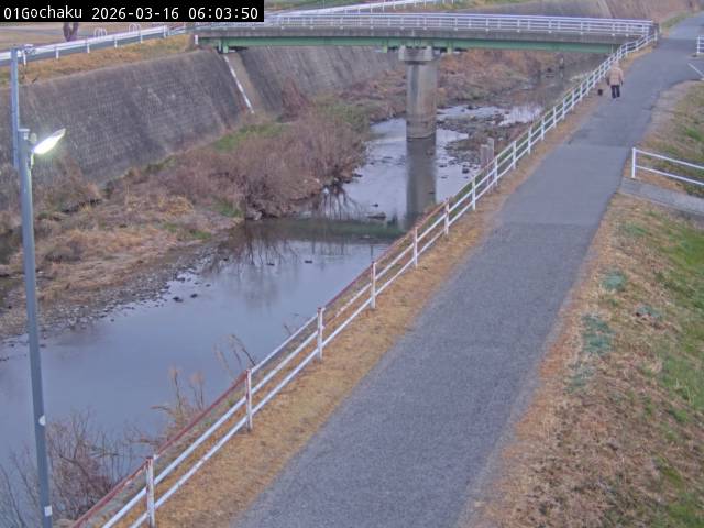 最新監視カメラ画像