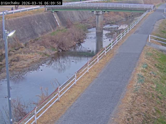 最新監視カメラ画像