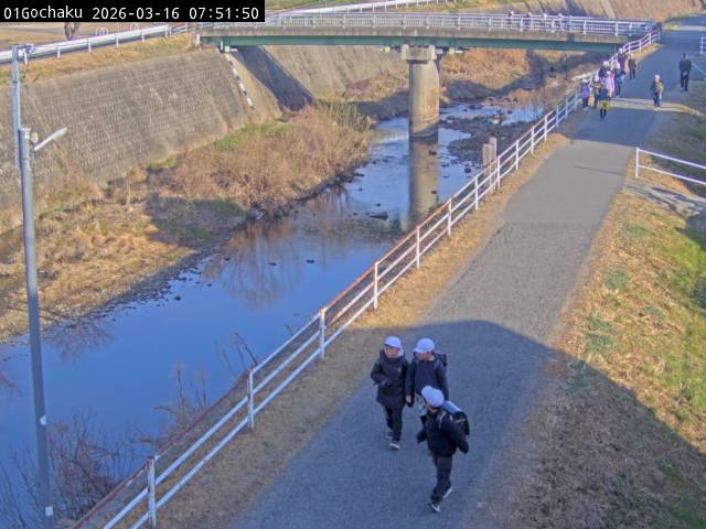 最新監視カメラ画像