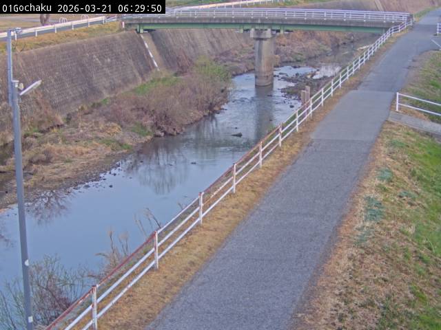 最新監視カメラ画像