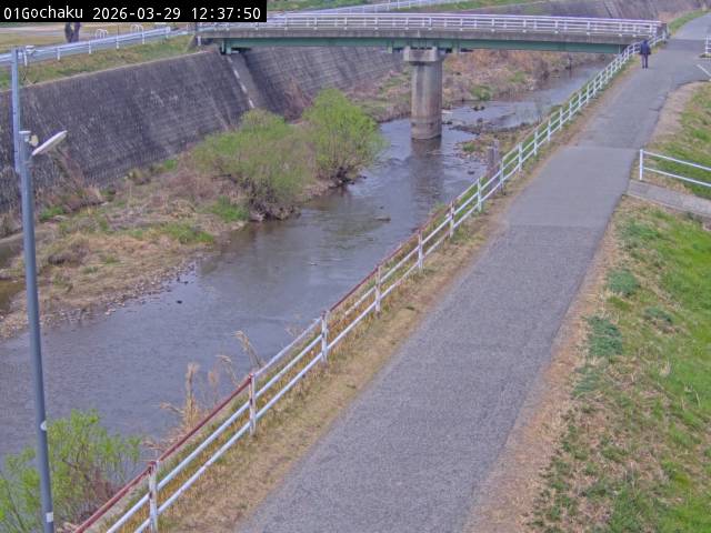 最新監視カメラ画像