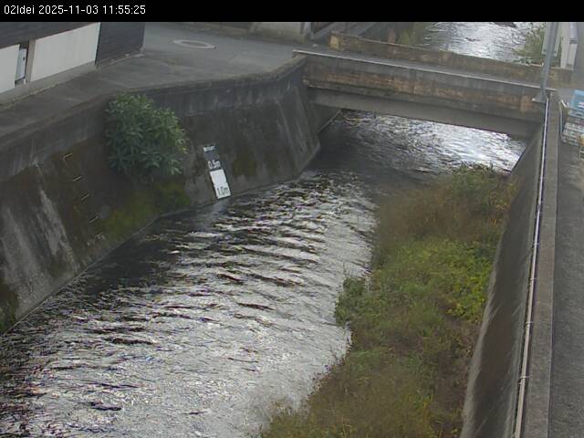 最新監視カメラ画像