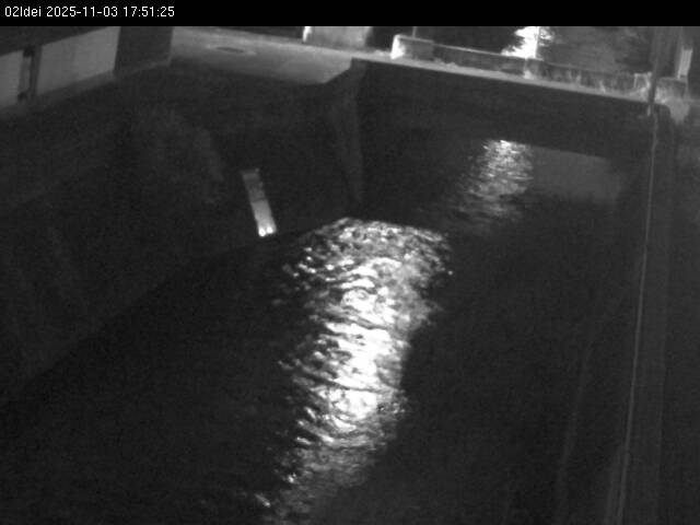 最新監視カメラ画像