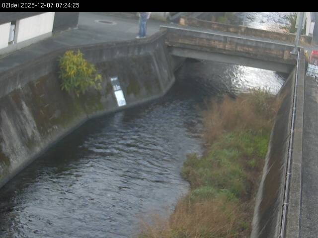 最新監視カメラ画像