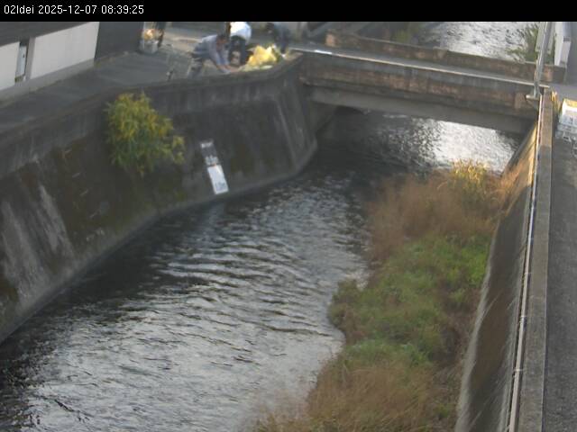 最新監視カメラ画像