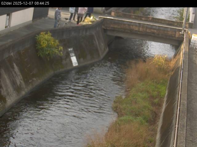 最新監視カメラ画像