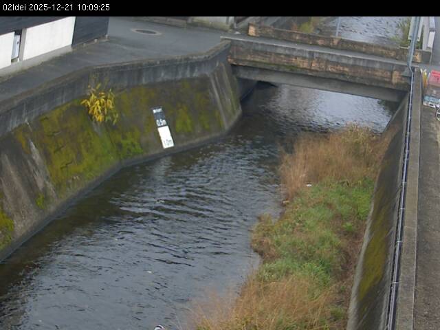 最新監視カメラ画像