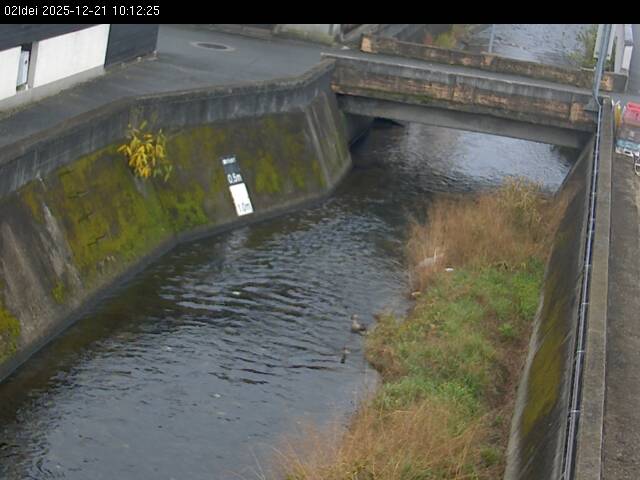 最新監視カメラ画像