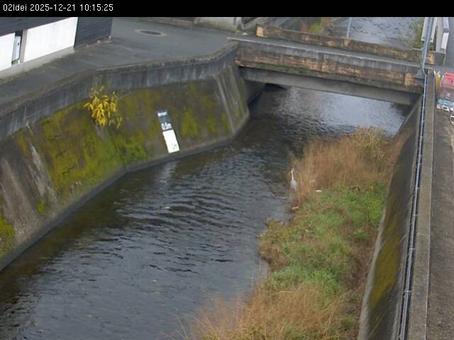 最新監視カメラ画像