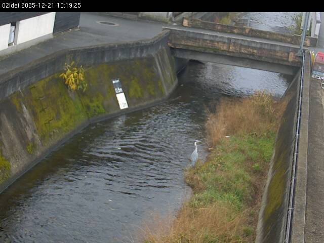 最新監視カメラ画像