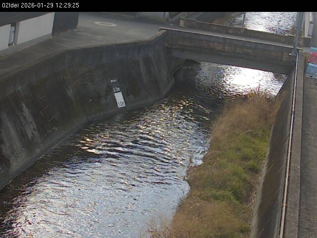 最新監視カメラ画像