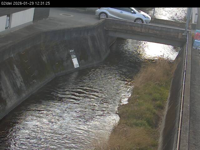 最新監視カメラ画像