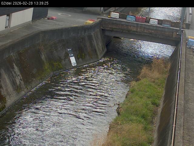 最新監視カメラ画像