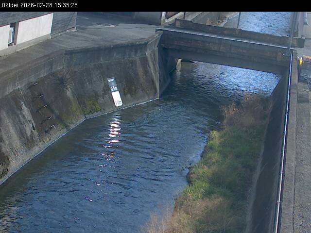 最新監視カメラ画像