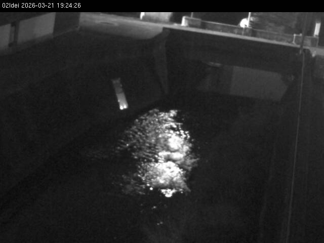 最新監視カメラ画像