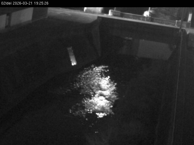 最新監視カメラ画像