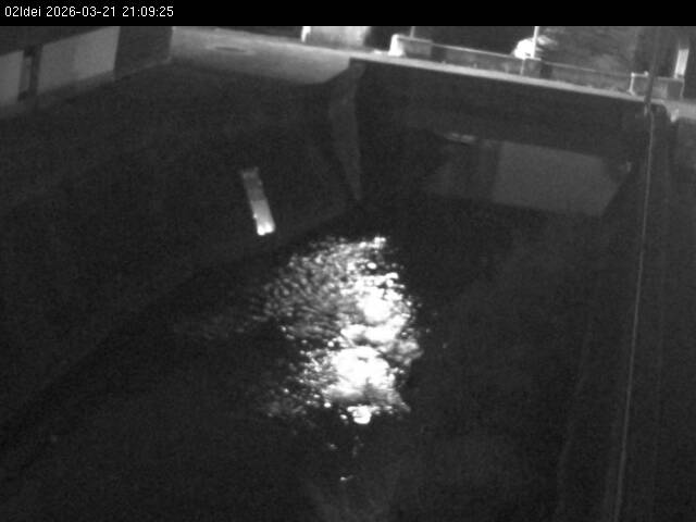 最新監視カメラ画像