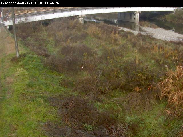 最新監視カメラ画像