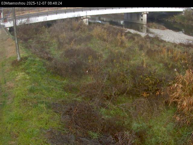 最新監視カメラ画像