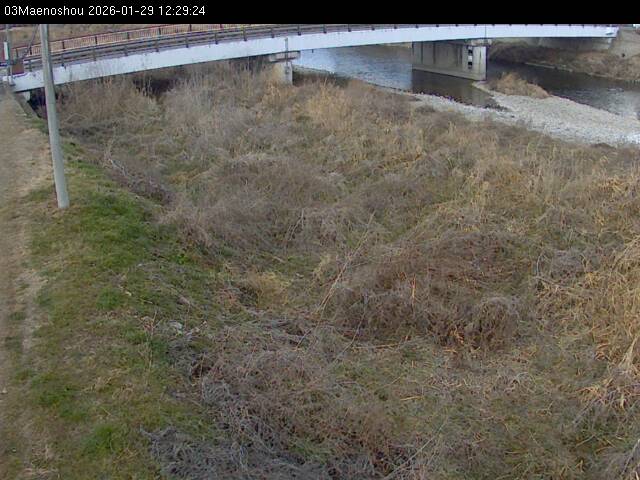 最新監視カメラ画像