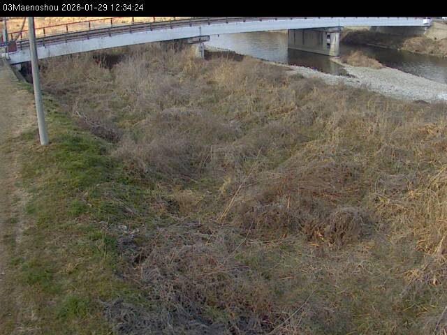 最新監視カメラ画像