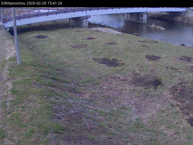 最新監視カメラ画像