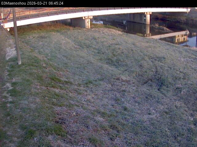 最新監視カメラ画像