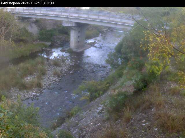 最新監視カメラ画像