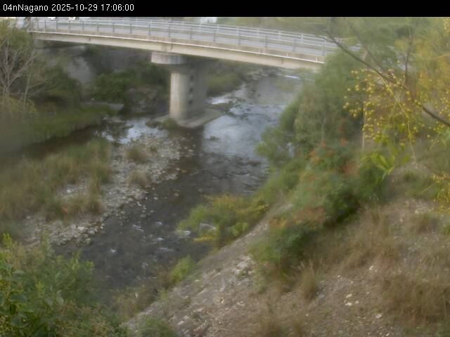 最新監視カメラ画像