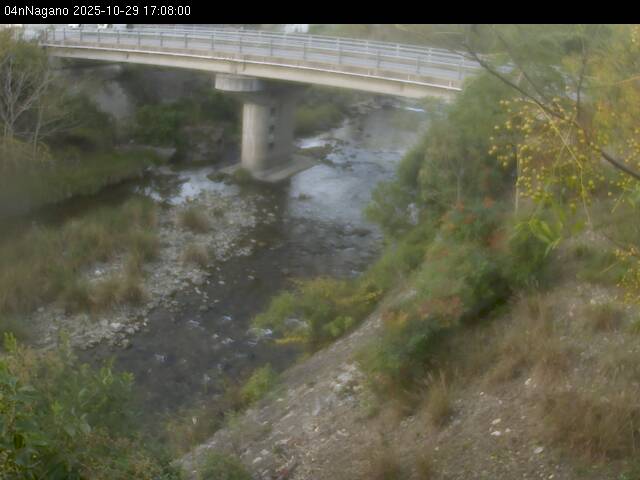 最新監視カメラ画像