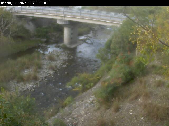 最新監視カメラ画像