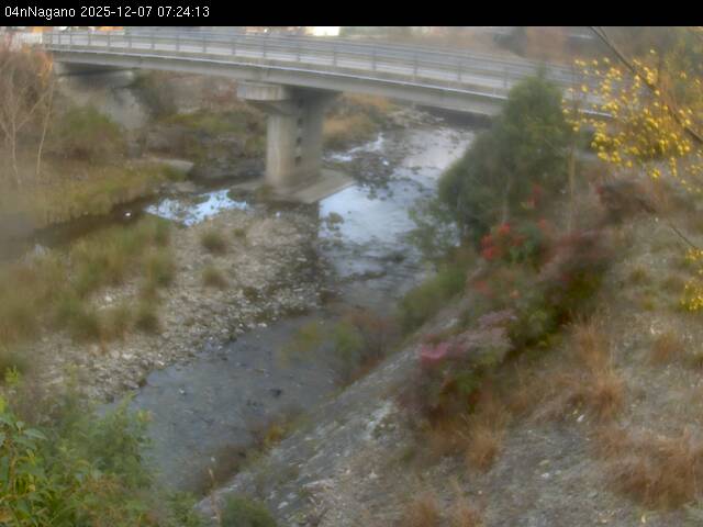 最新監視カメラ画像