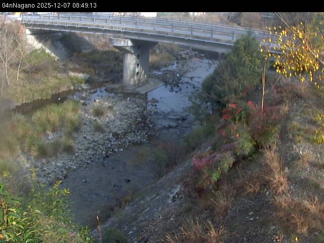 最新監視カメラ画像