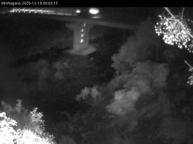 最新監視カメラ画像