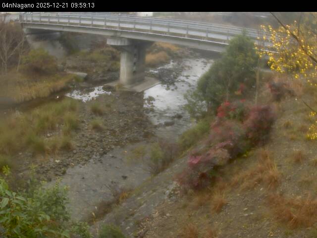 最新監視カメラ画像