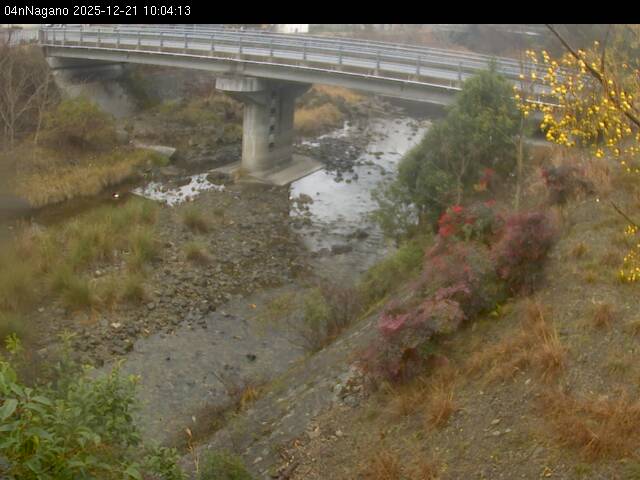 最新監視カメラ画像