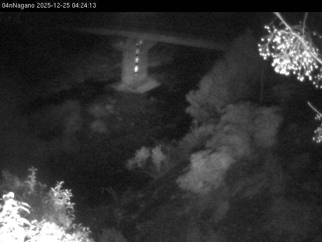 最新監視カメラ画像