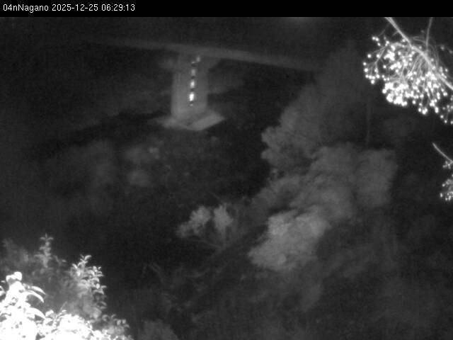 最新監視カメラ画像