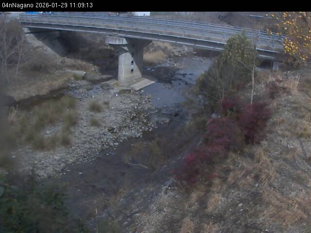 最新監視カメラ画像