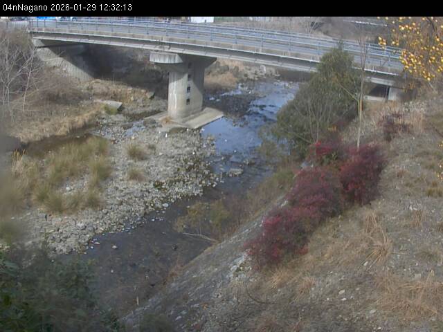 最新監視カメラ画像