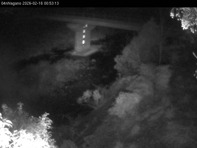 最新監視カメラ画像