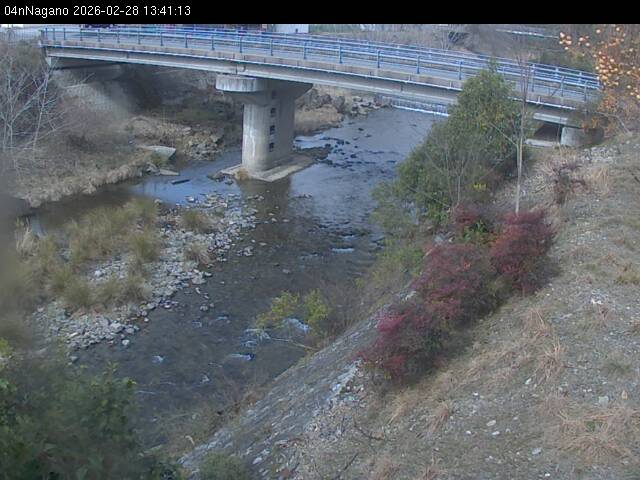 最新監視カメラ画像