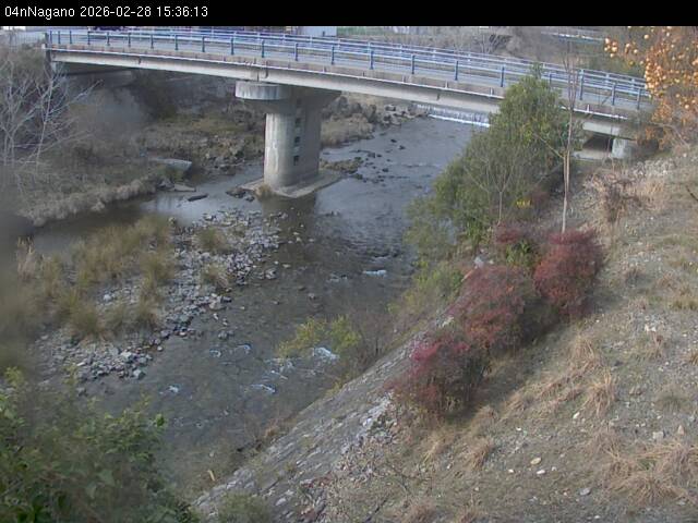 最新監視カメラ画像